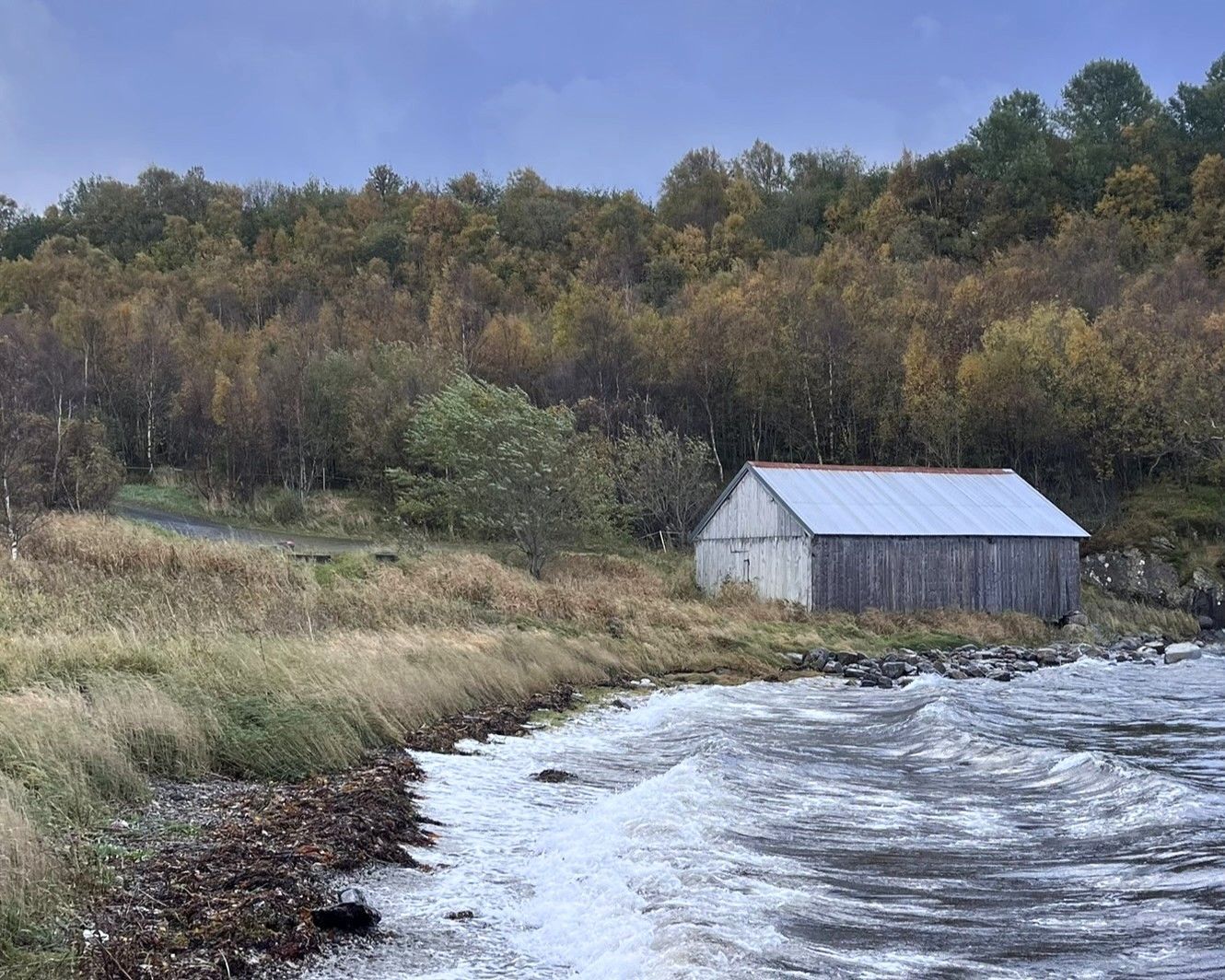 Værbitt båthus på en steinete strand, med høstløv og en overskyet himmel bak.