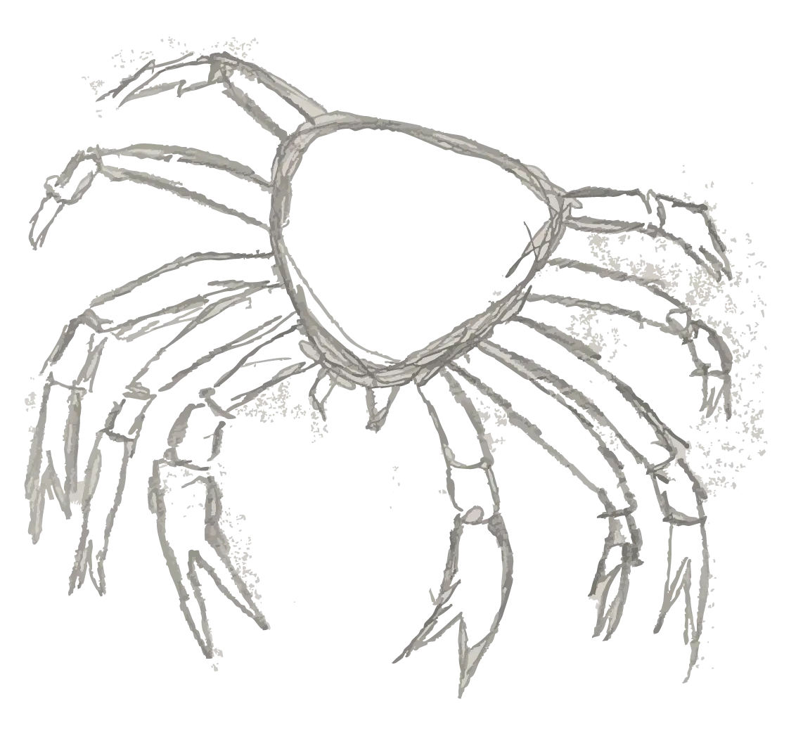 skisse av snøkrabbe