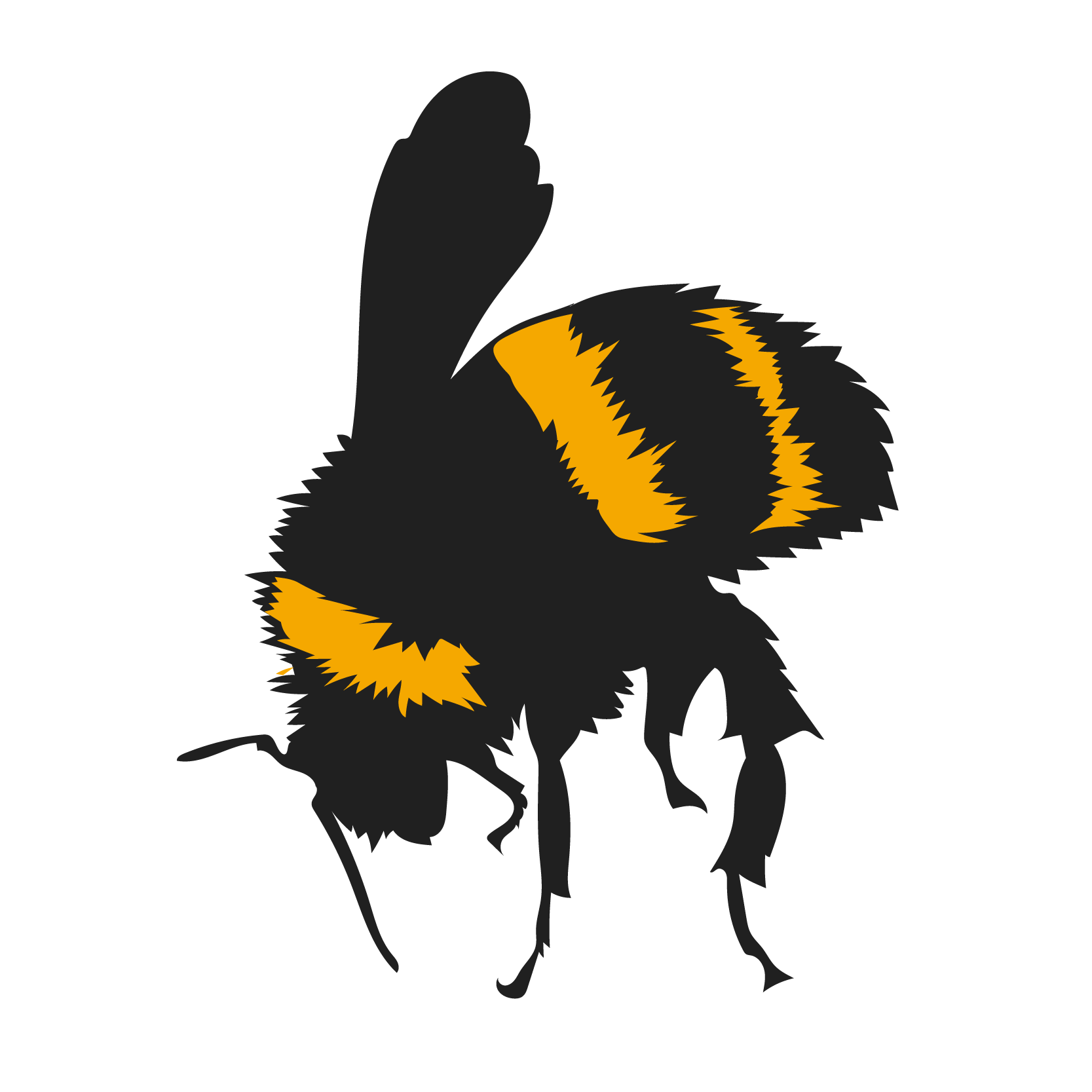 A black and yellow bee is flying on a white background.