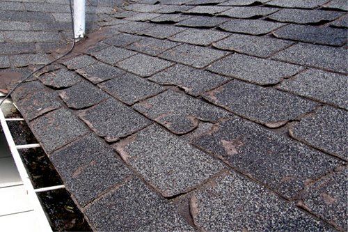 Signs that you need roof repair in Olean, NY