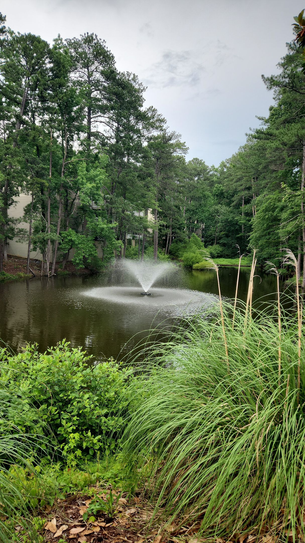 Beautiful pond with fountain