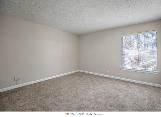 An empty bedroom with a window and carpet.