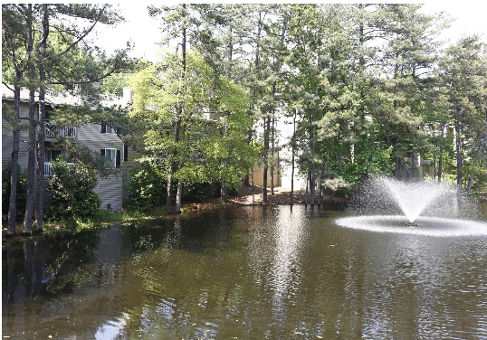 A pond with a fountain in the middle of it