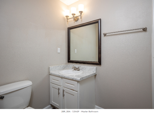 A bathroom with a toilet a sink and a mirror