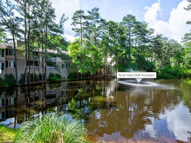 There is a pond with a fountain in the middle of it surrounded by trees.