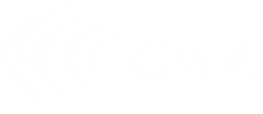 Blank white image with a thin black horizontal line near the bottom