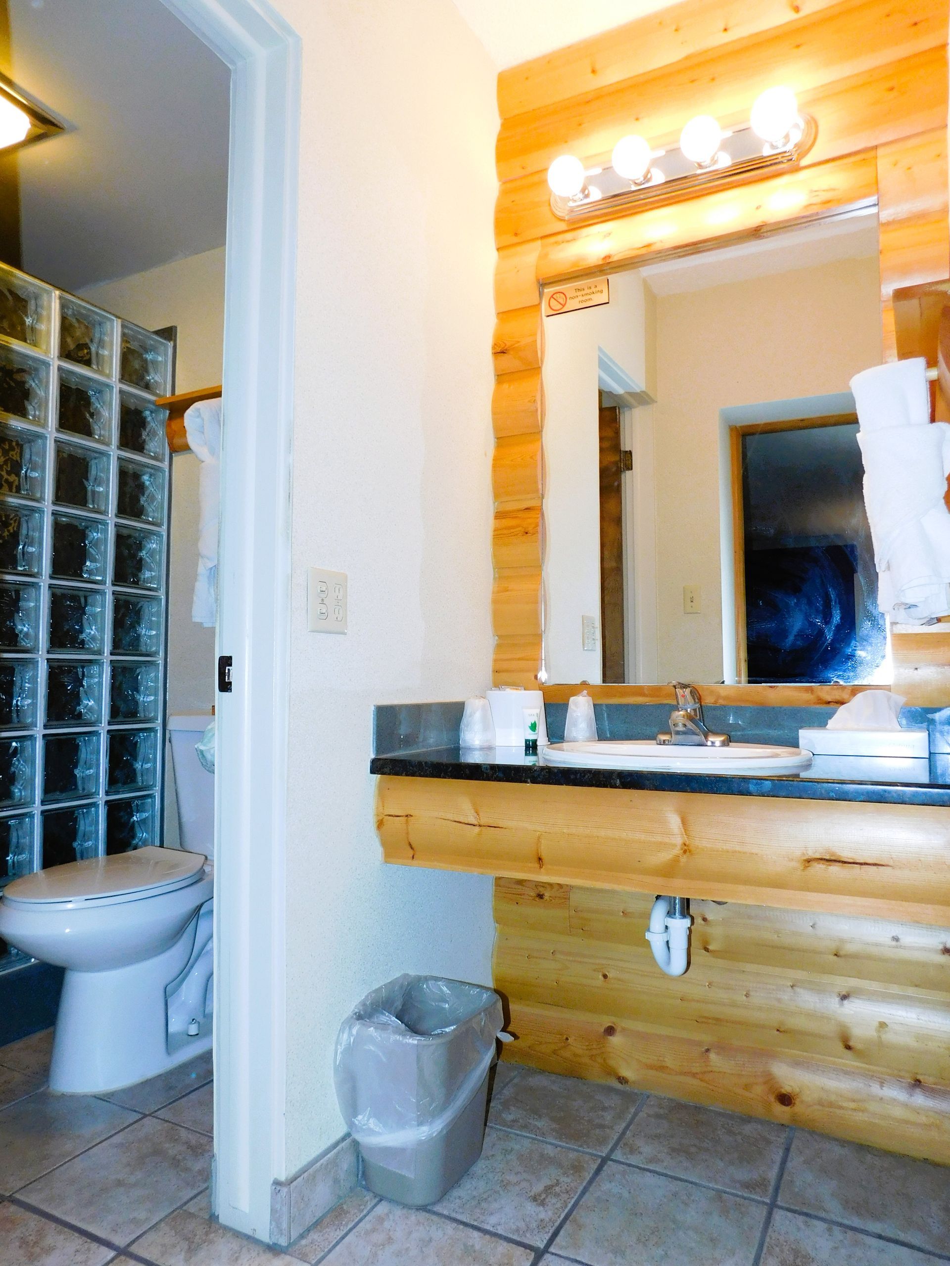 Bathroom with log-cabin style walls. Toilet on left, sink and mirror on right. Bright lighting.