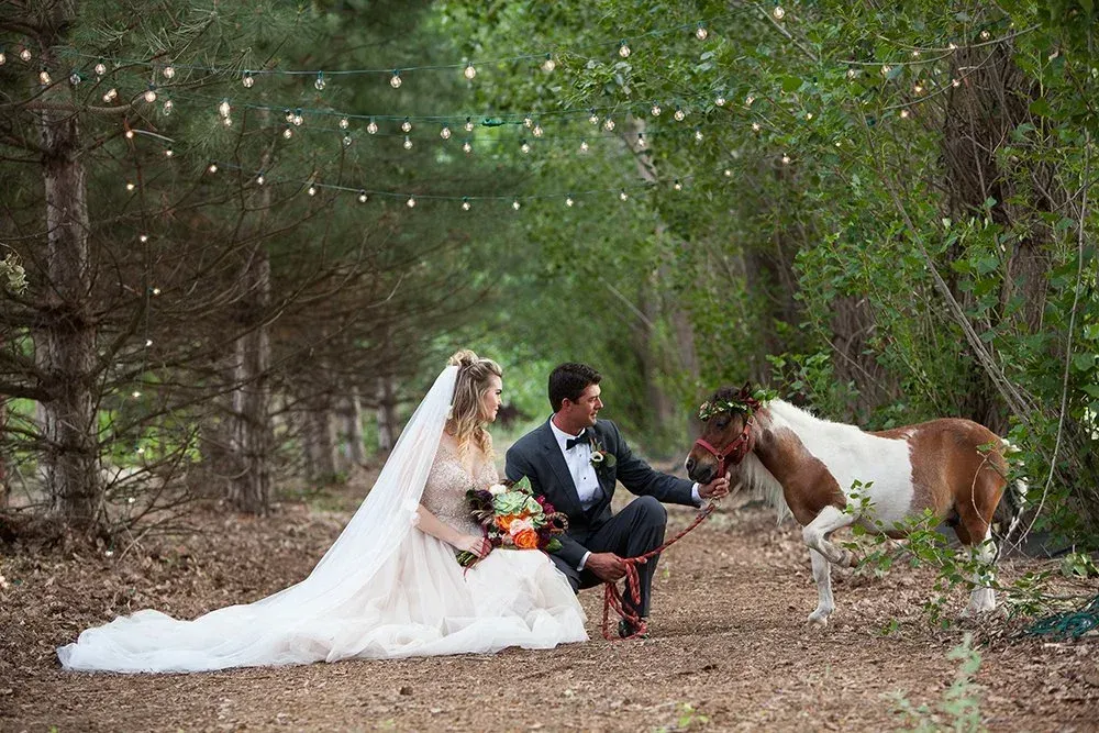 A couple in wedding attire sitting on a dirt path with a small pony under string lights in a wooded area.