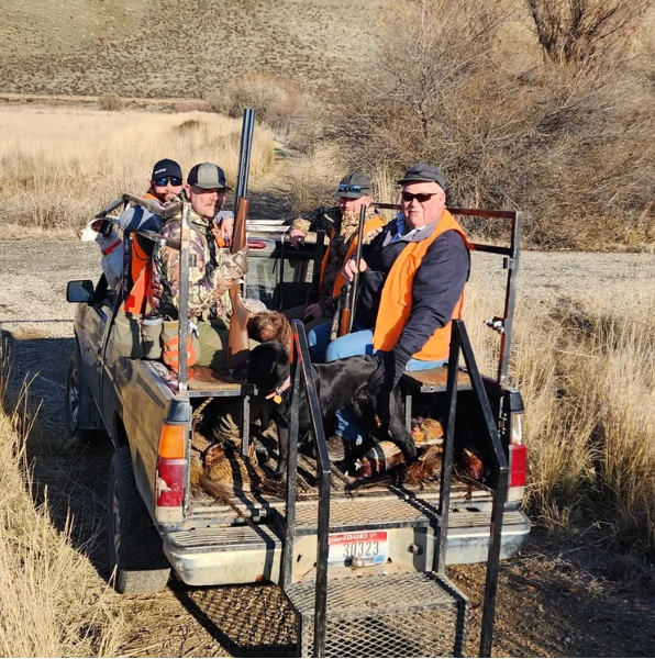 Four hunters in orange vests and caps sit in the back of a truck parked in a grassy field with hunting dogs.