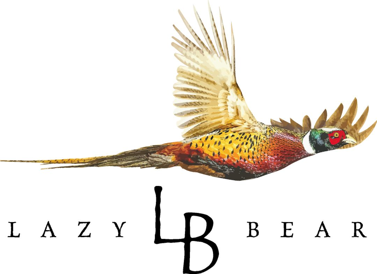 Lazy Bear logo with a colorful flying pheasant and the letters LB