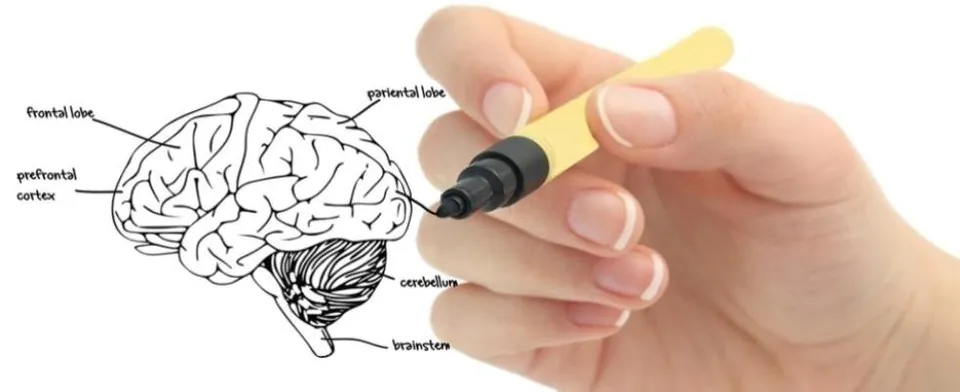 rappresentazione servizi di psicoterapia