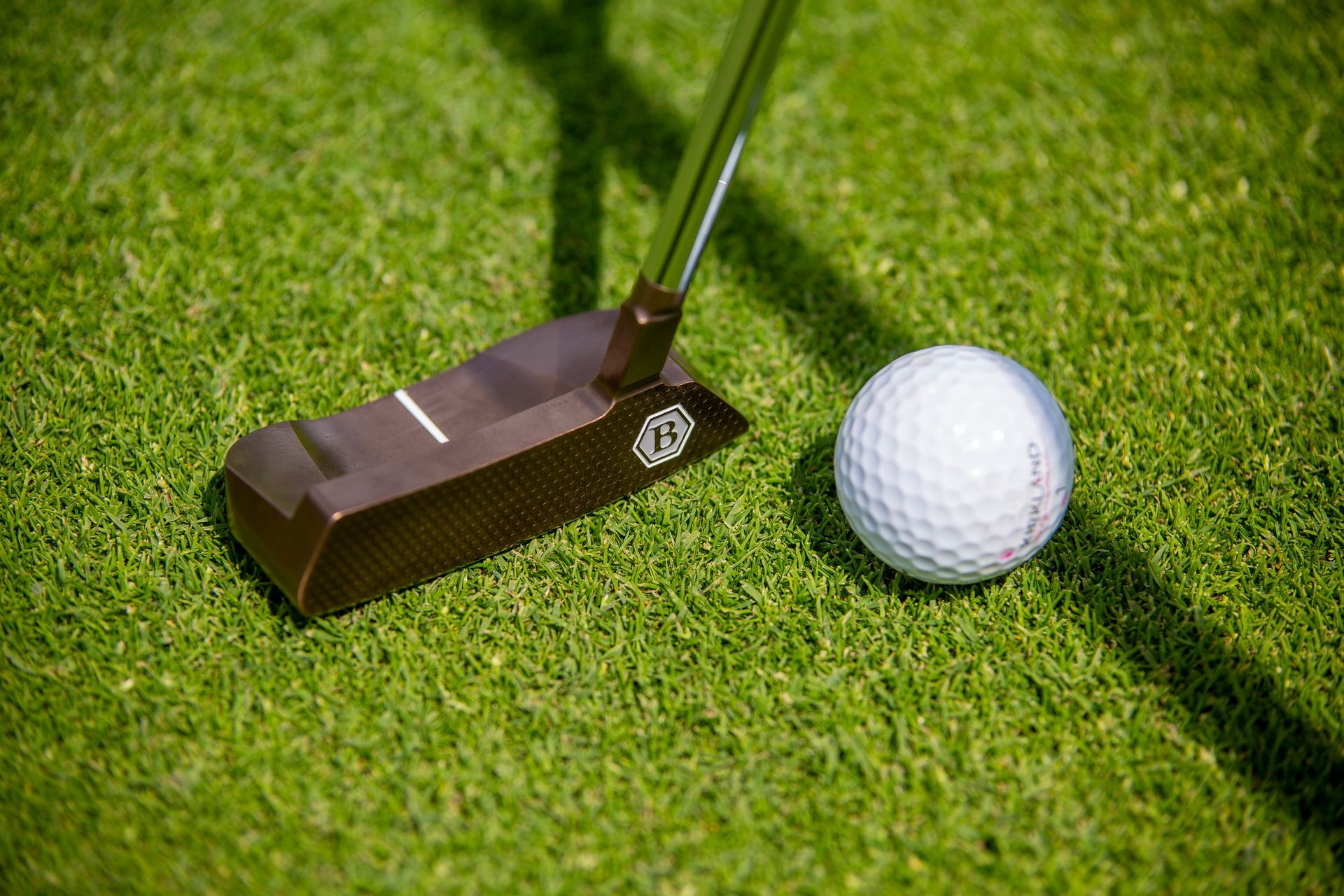 Warwickshire Golf Sim