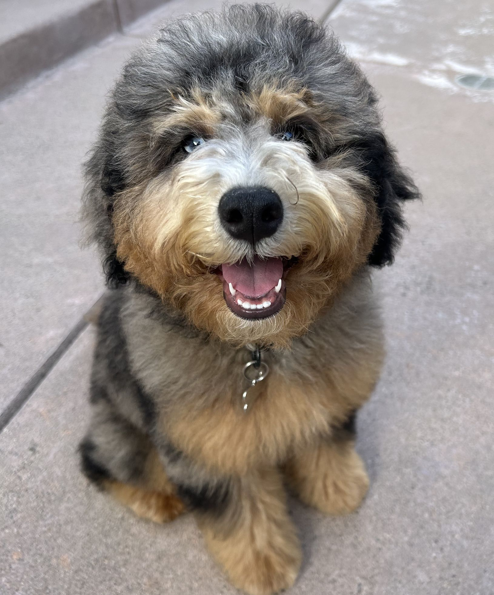 Gus Gus