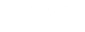 white wedding & party website logo