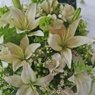 Cream lilies and white baby's breath arranged in a lush green floral bouquet