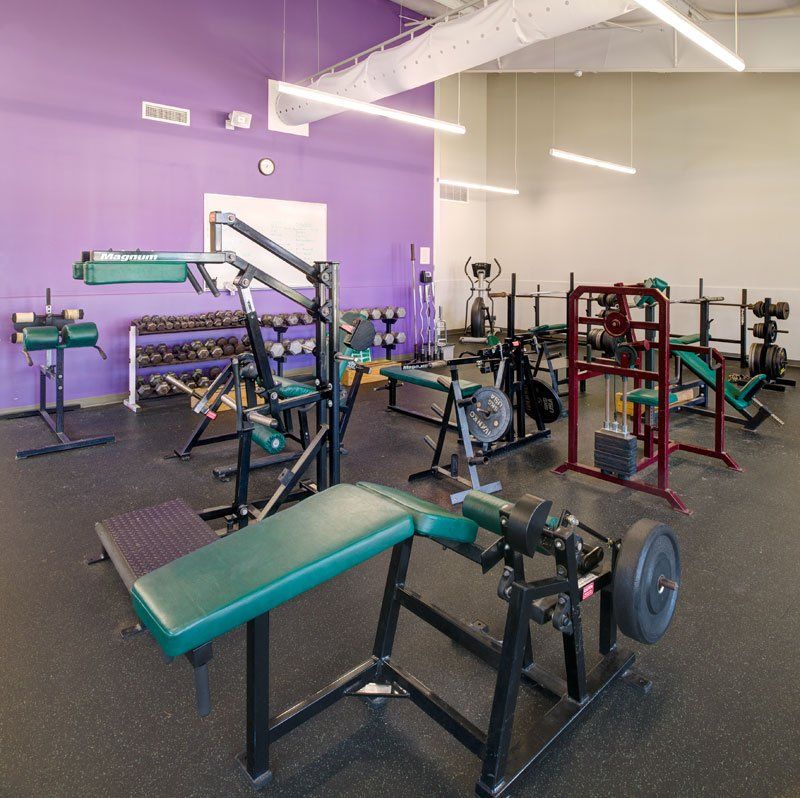 a gym with purple walls and green benches