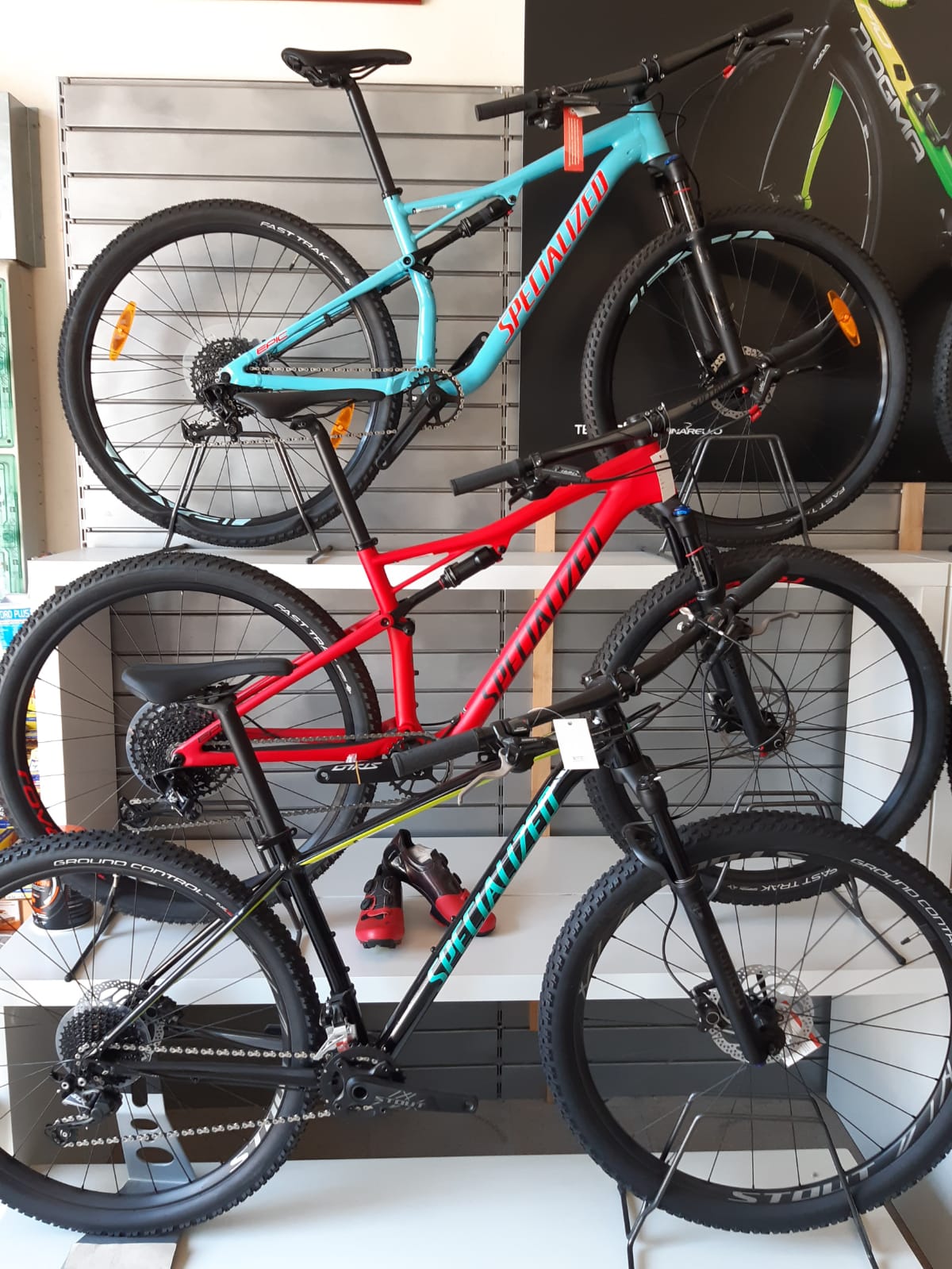 Angolo Specilezed MTB