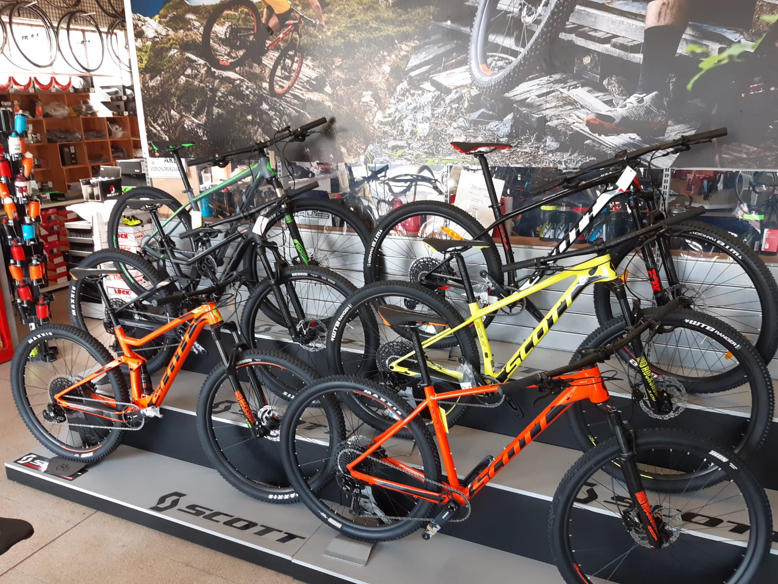 Gamma biciclette Scott Scale