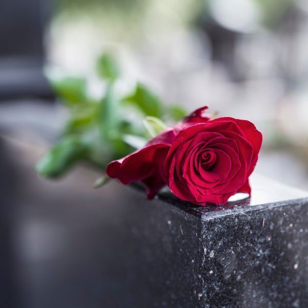 A single red rose is sitting on top of a black marble block.
