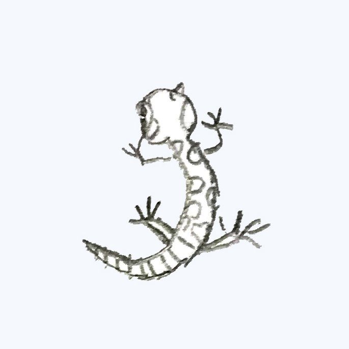 salamander kindertekening
