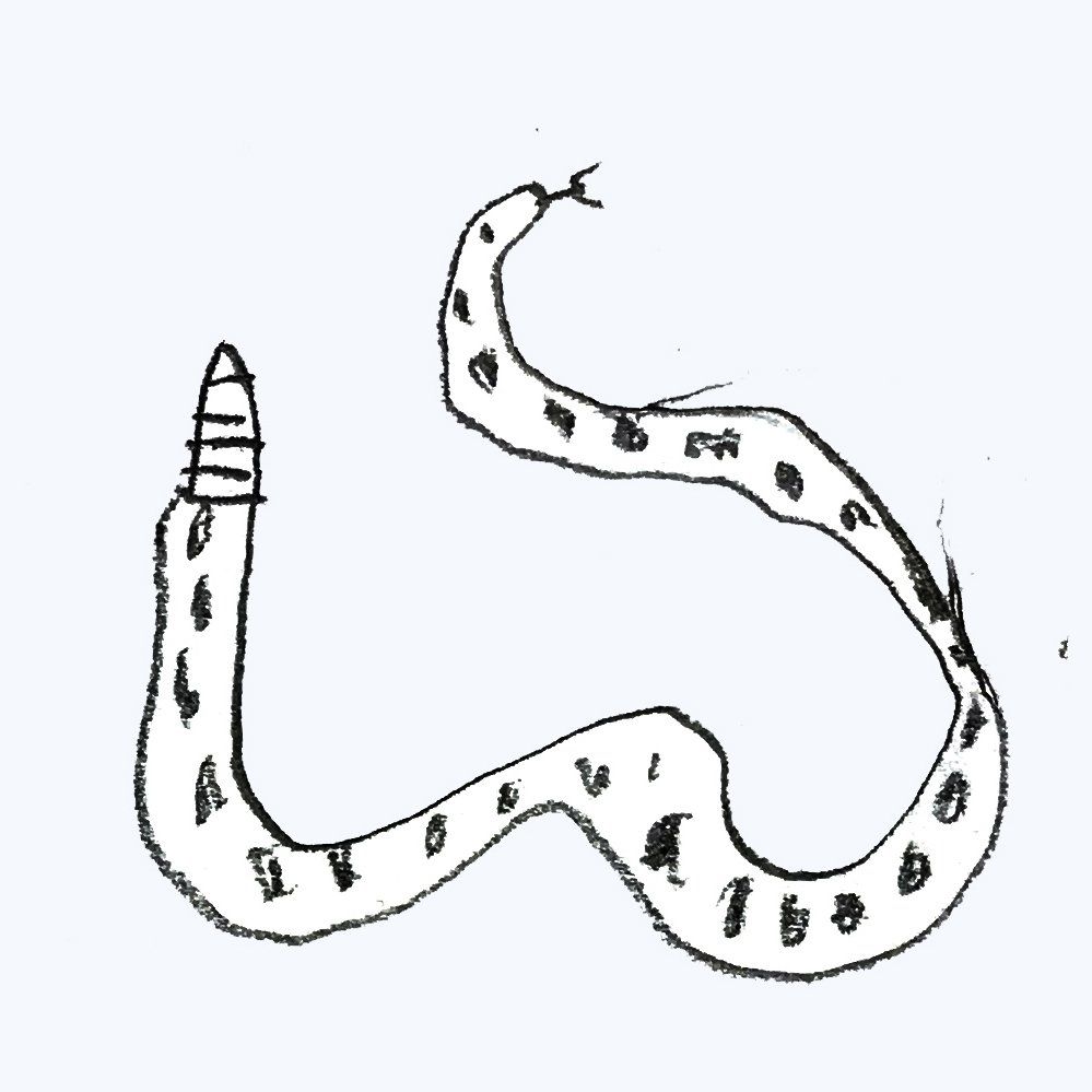 slang kindertekening