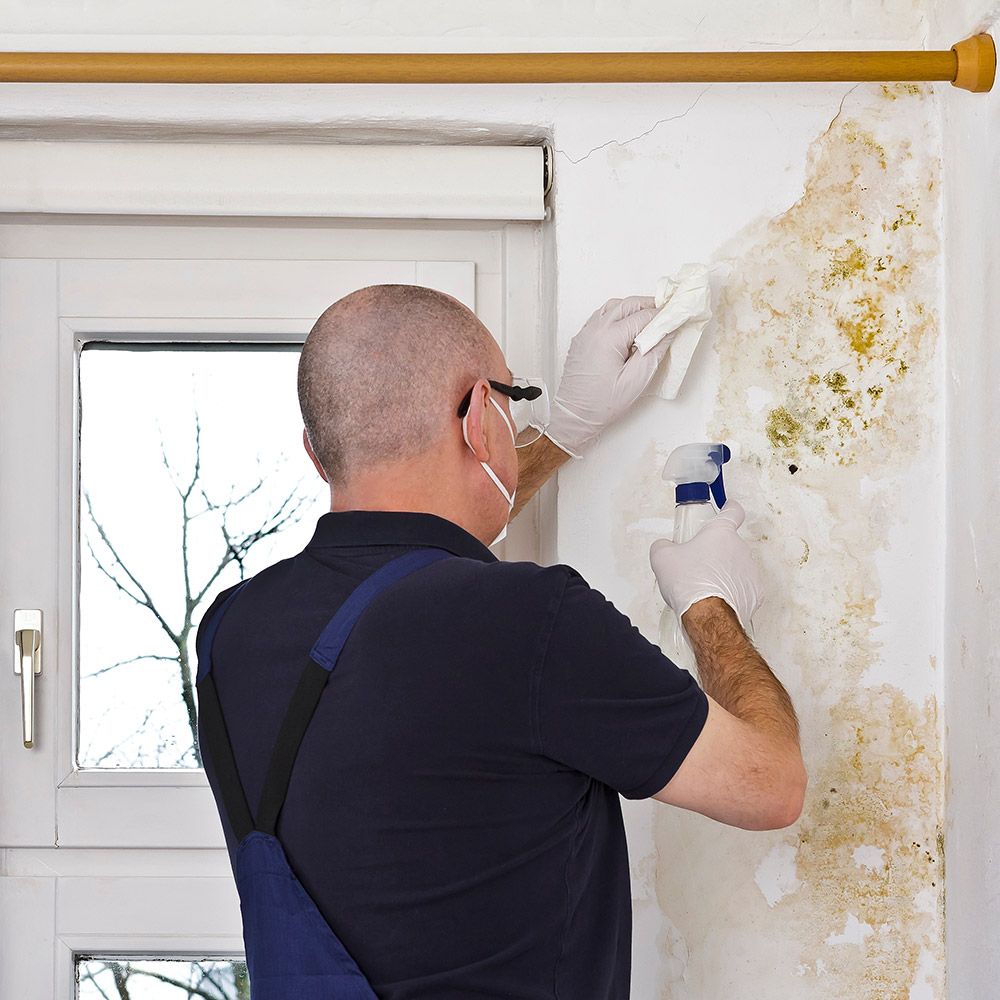 A man cleaning a wall with a spray bottle