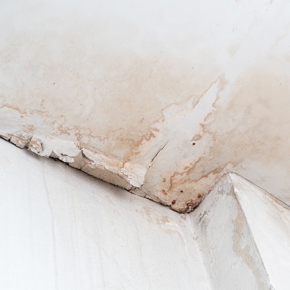 A close up of a white wall with a stain on it.