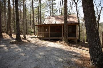 Rustic wooden cabin in a pine forest, with a covered porch and dirt clearing in front.