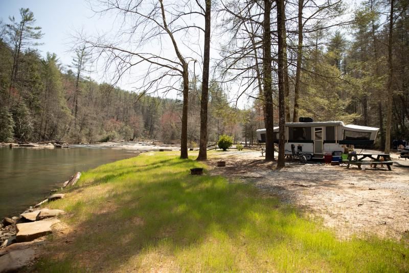 Riverside campsite with an RV, picnic table, and tall trees on a sunny day