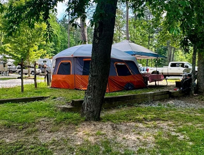 Orange-and-gray camping tent under trees beside a picnic table in a grassy park campsite.