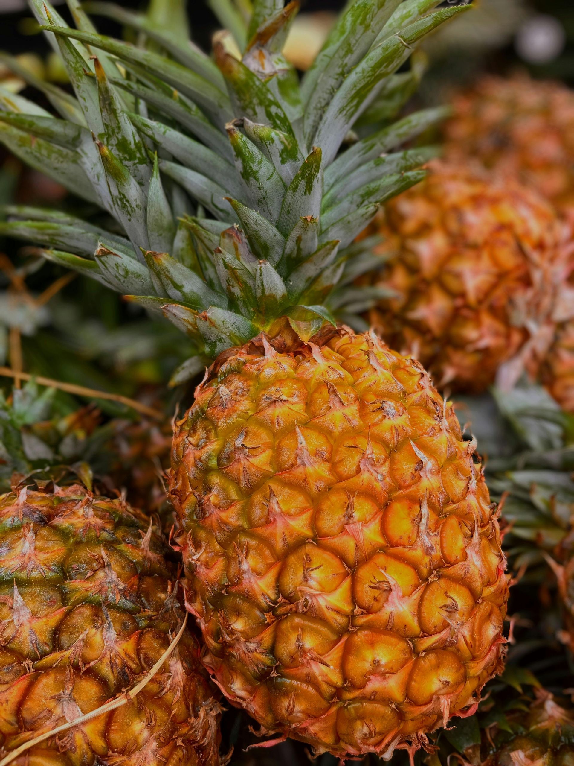 Pile of ripe pineapples, spiky green leaves, yellow-orange skin.
