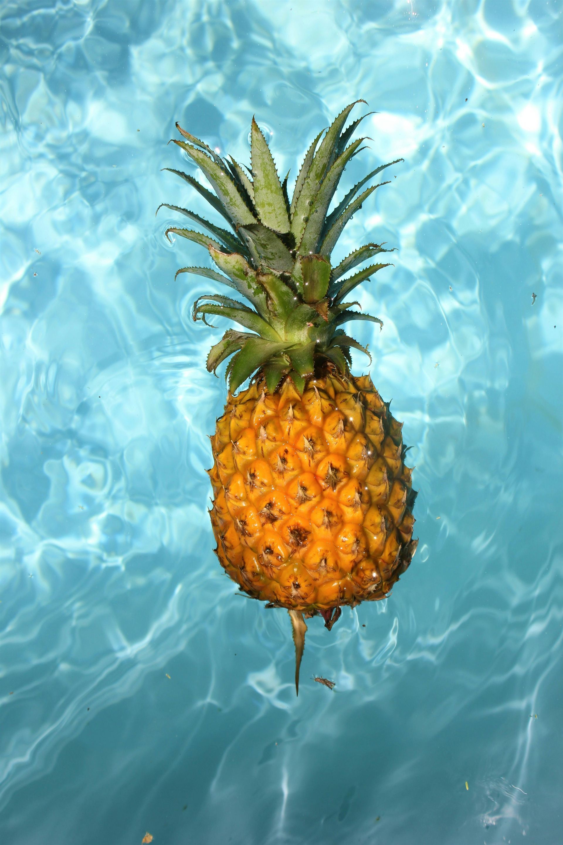 Pineapple floating in blue water.