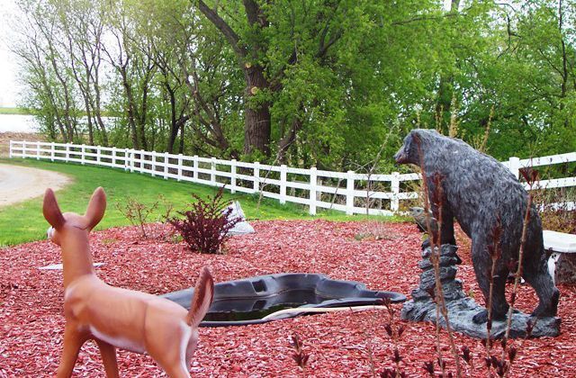 Garden With Animal Decoration