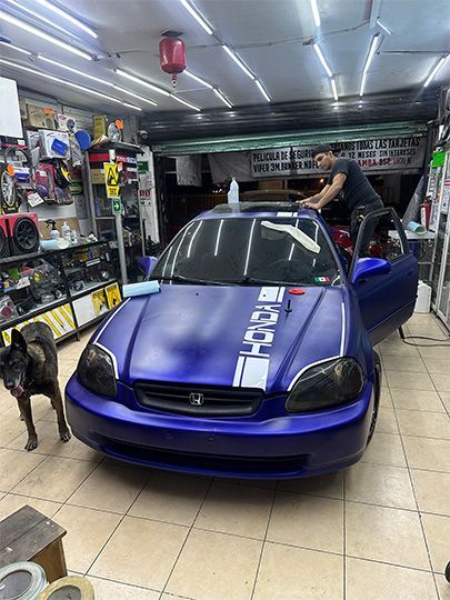 HI-PERFORMANCE MEXICO