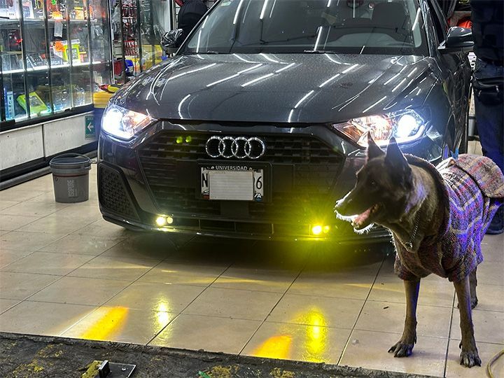 HI-PERFORMANCE MEXICO