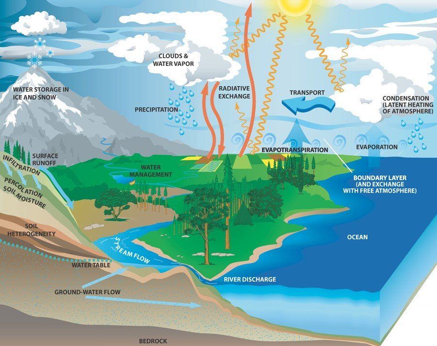 Water cycle graphic