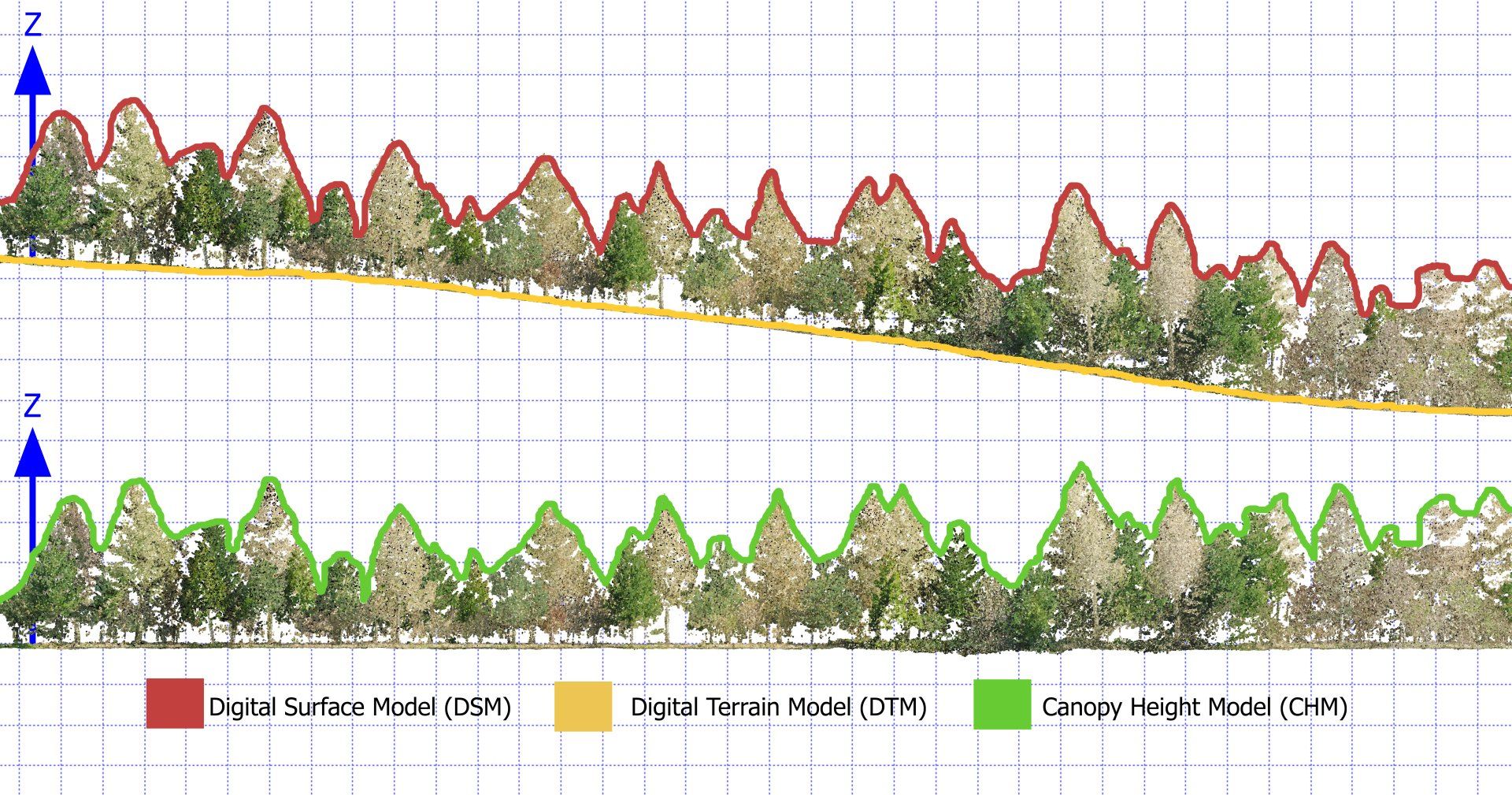 DSM vs DTM vs CHM