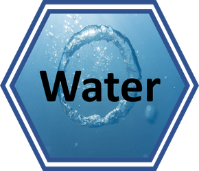 Surveyar Water Services