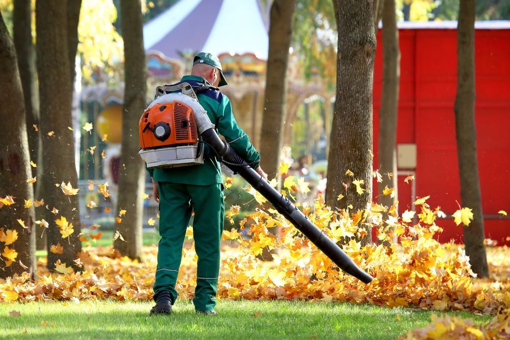 Man using a leaf blower on fallen leaves in a park with trees and a red building in the background.