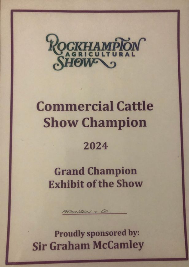 A certificate that says commercial cattle show champion 2024