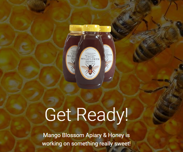 A bottle of mango blossom apiary honey is surrounded by bees