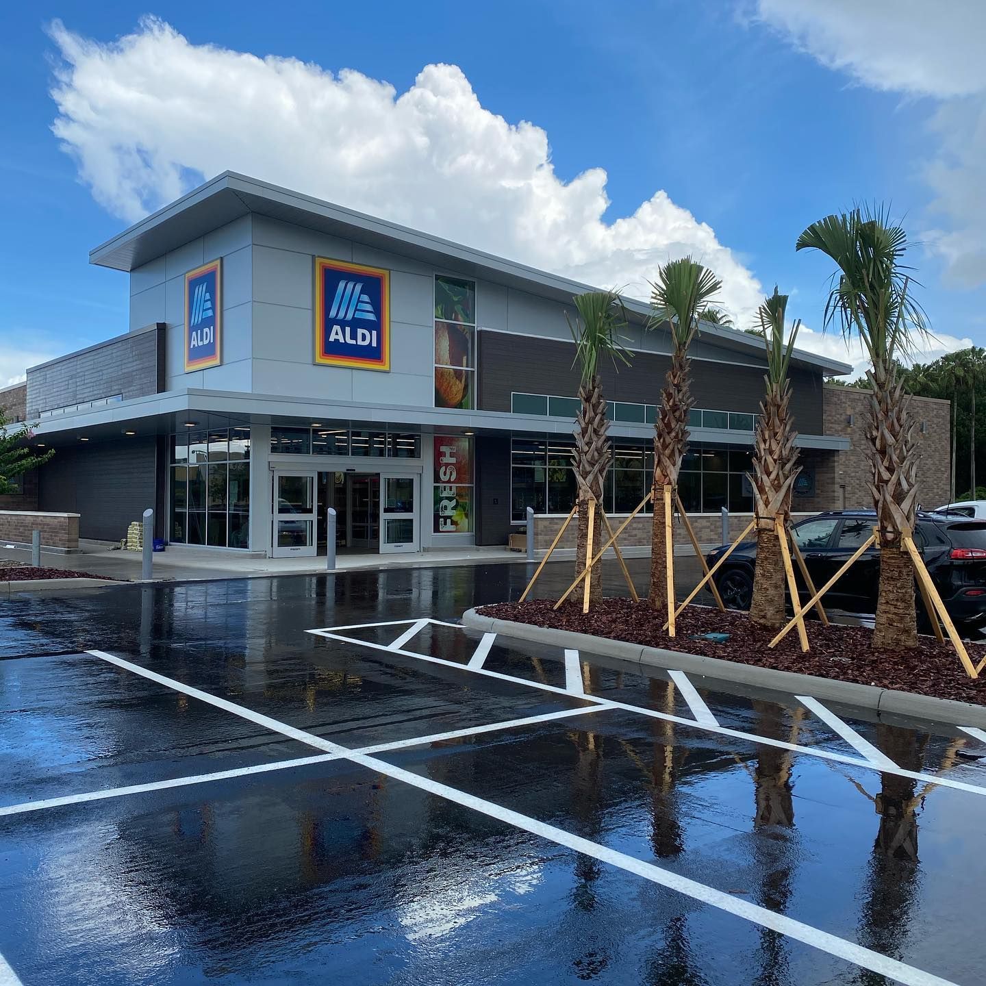 Exterior of an ALDI store building on a sunny day. Palm trees line the front, wet parking lot.