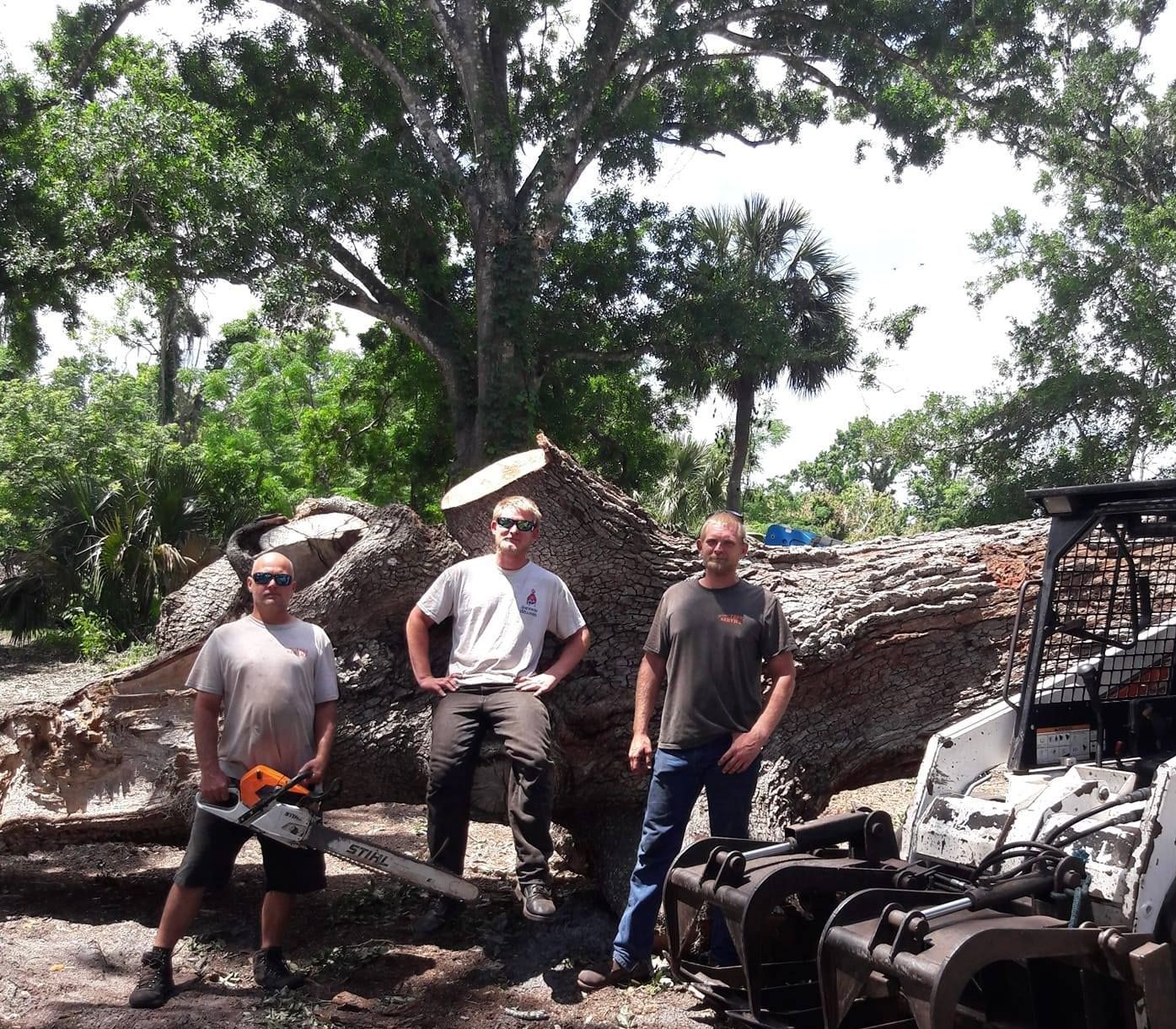 downed tree with three men standing.