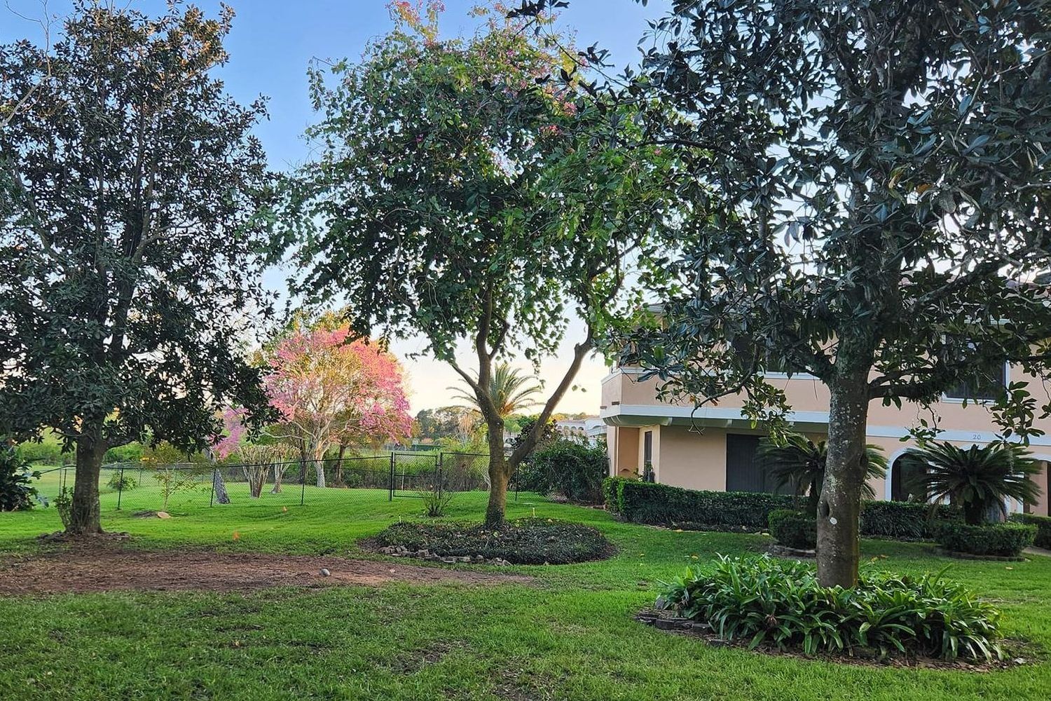 A house with a lot of trees in front of it