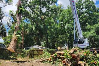 A crane is cutting down a tree in a yard.