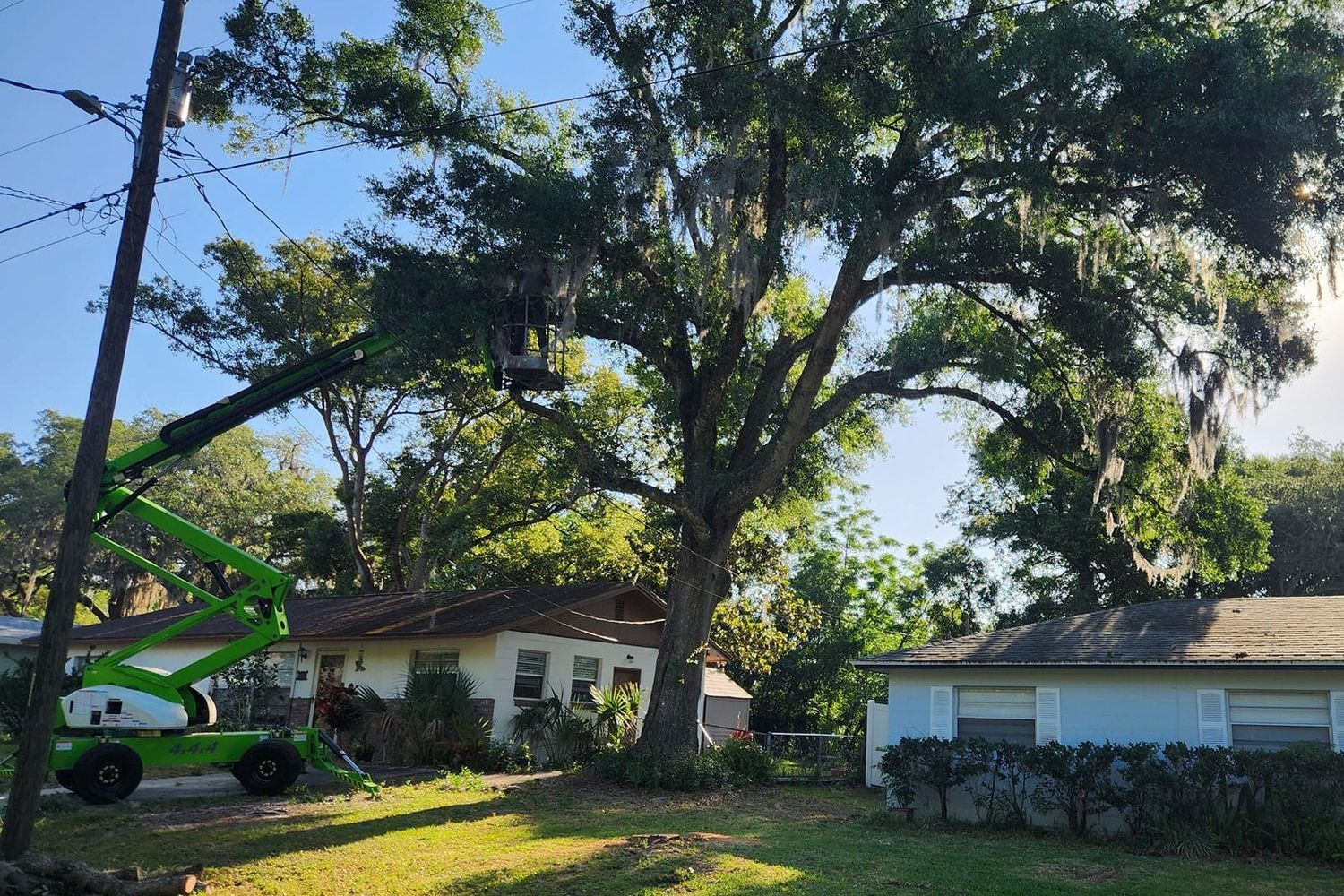 A green crane is cutting a tree in front of a house.