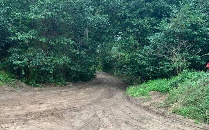 A dirt road going through a forest with trees on both sides.