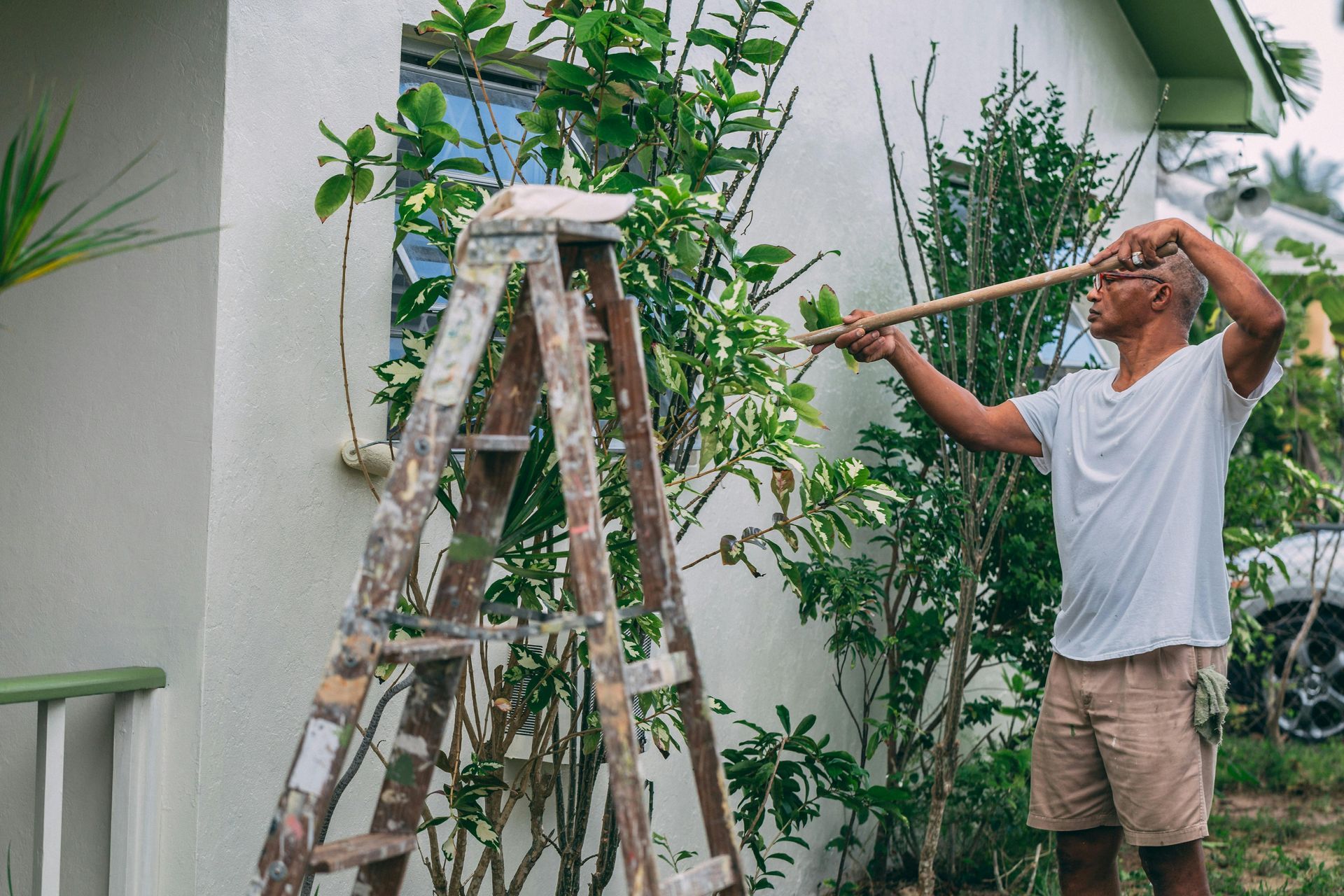 Man on a ladder trimming tree branches in a garden beside a house