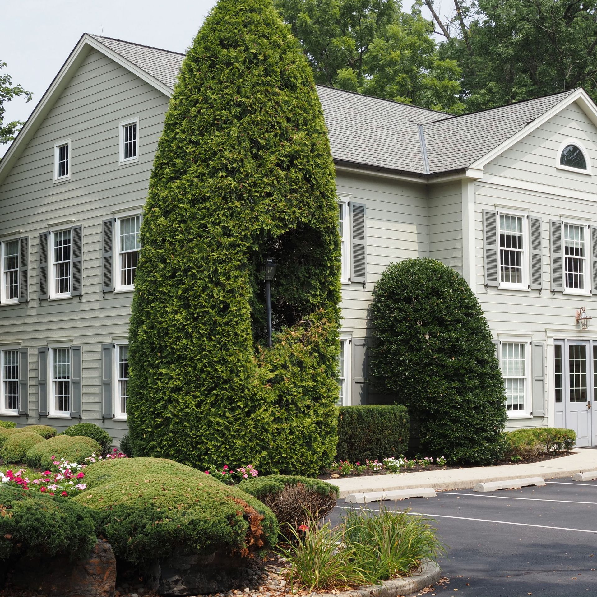 Landscaped gray house with white trim and manicured shrubs beside a driveway