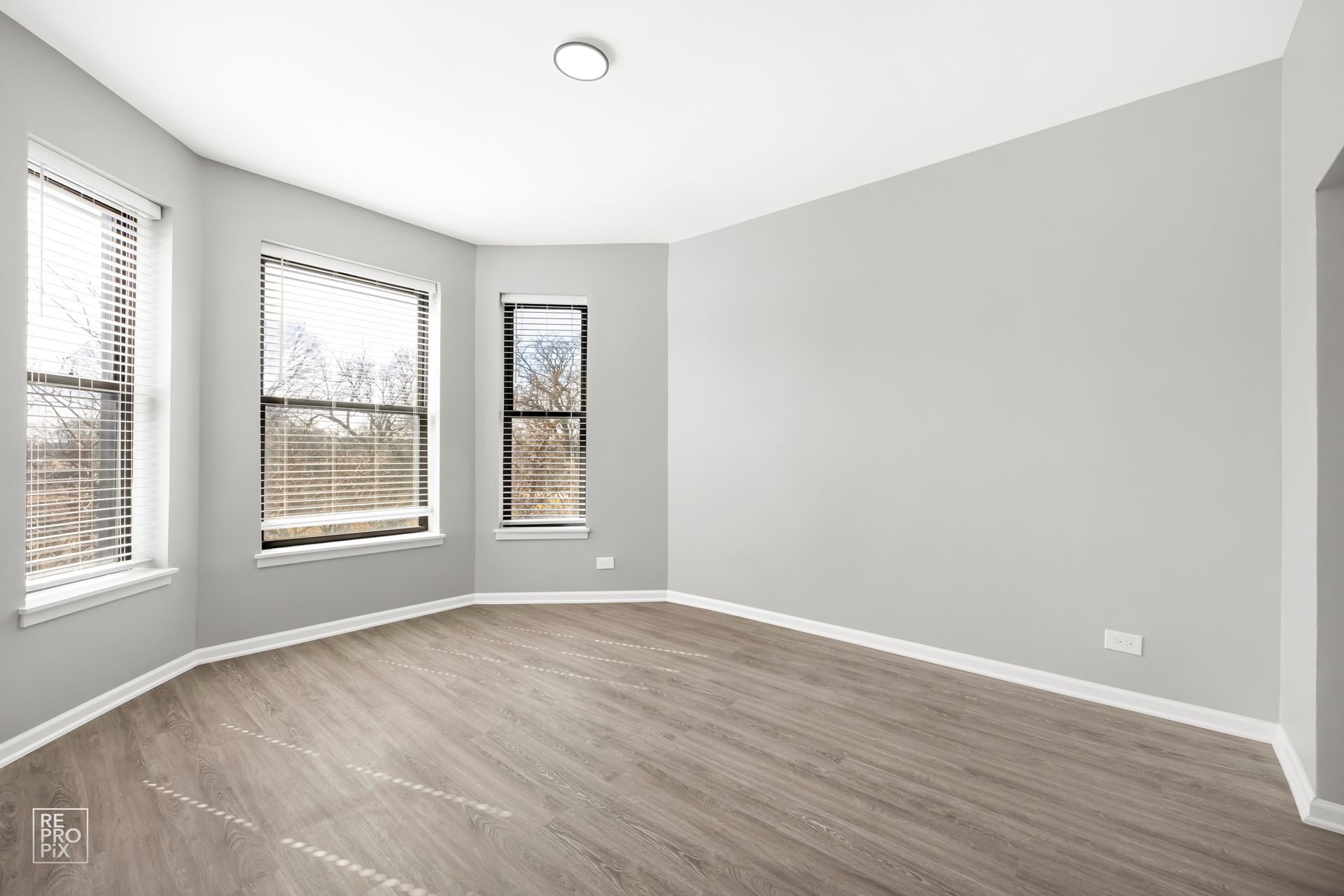 Empty room with gray walls, wood-look flooring, and three windows.